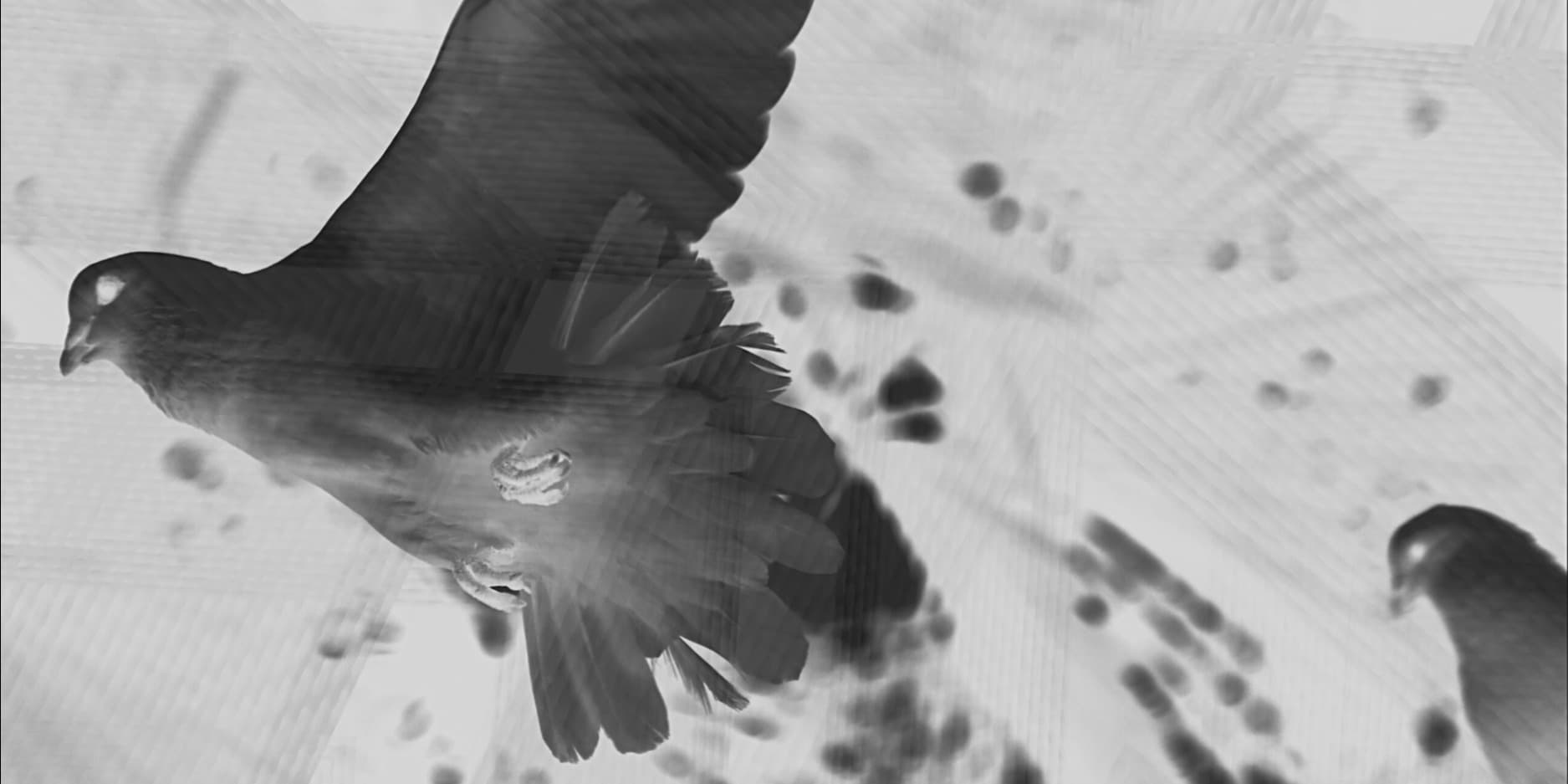 Cover photo